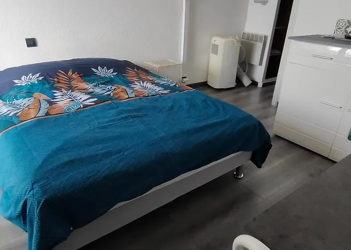 Appartement Cap D'agde La Grande Voile Agde